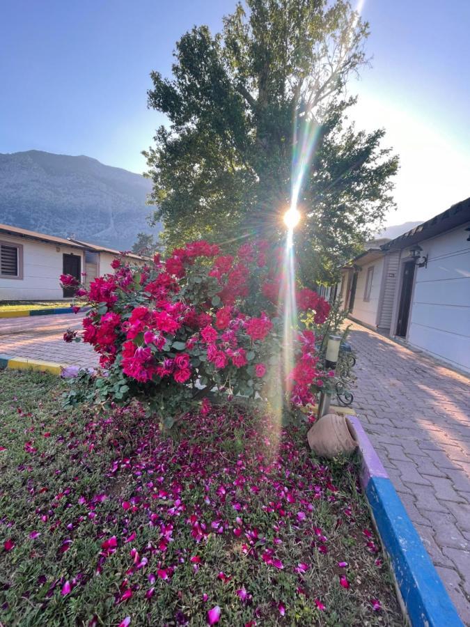 Ipsos Hotel Beldibi Kemer Esterno foto